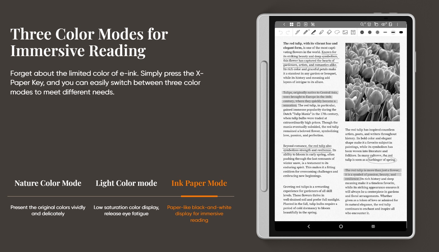 حالت سوم تصویر