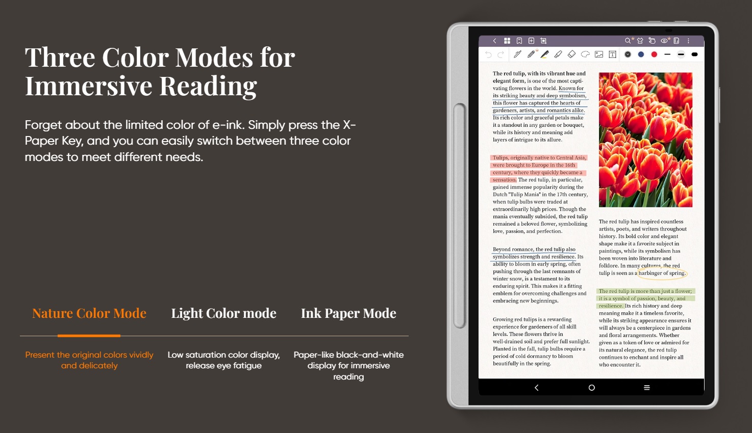 حالت اول تصویر