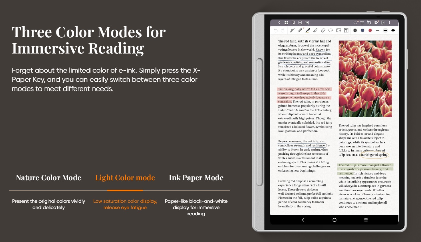 حالت دوم تصویر