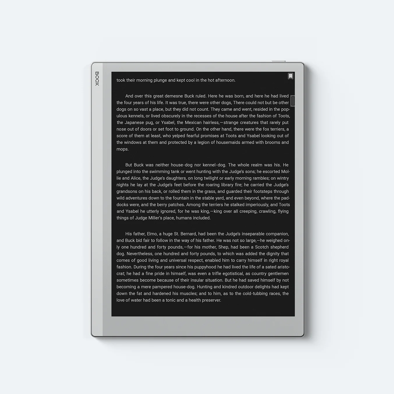 کتابخوان الکترونیکی Onyx Boox Go 10.3