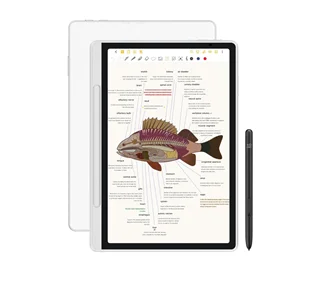 تبلت یادداشت هوشمند ایکس پی پن مدل Magic Note Pad + کوله پشتی هدیه XP PEN